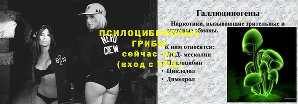 a pvp Магас