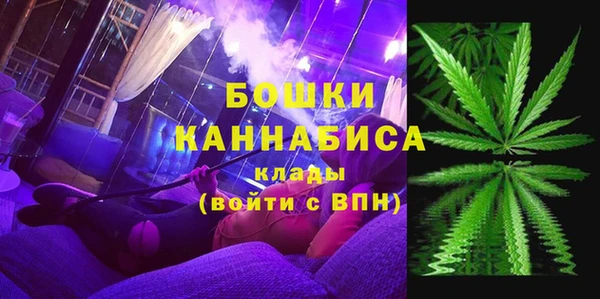 a pvp Магас