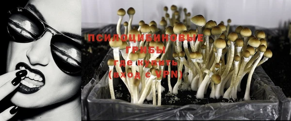 a pvp Магас