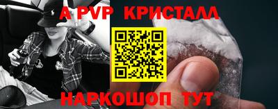 бошки Кингисепп