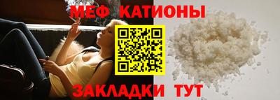 бошки Кингисепп