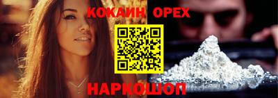бошки Кингисепп
