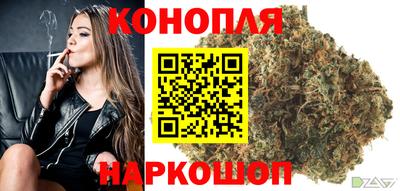 бошки Кингисепп