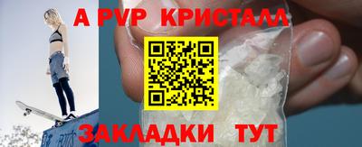бошки Кингисепп