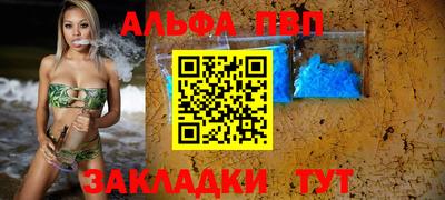 бошки Кингисепп