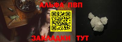 бошки Кингисепп
