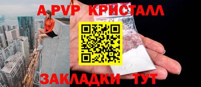 бошки Кингисепп
