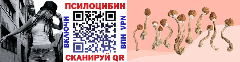 Псилоцибиновые грибы GOLDEN TEACHER  Обнинск 